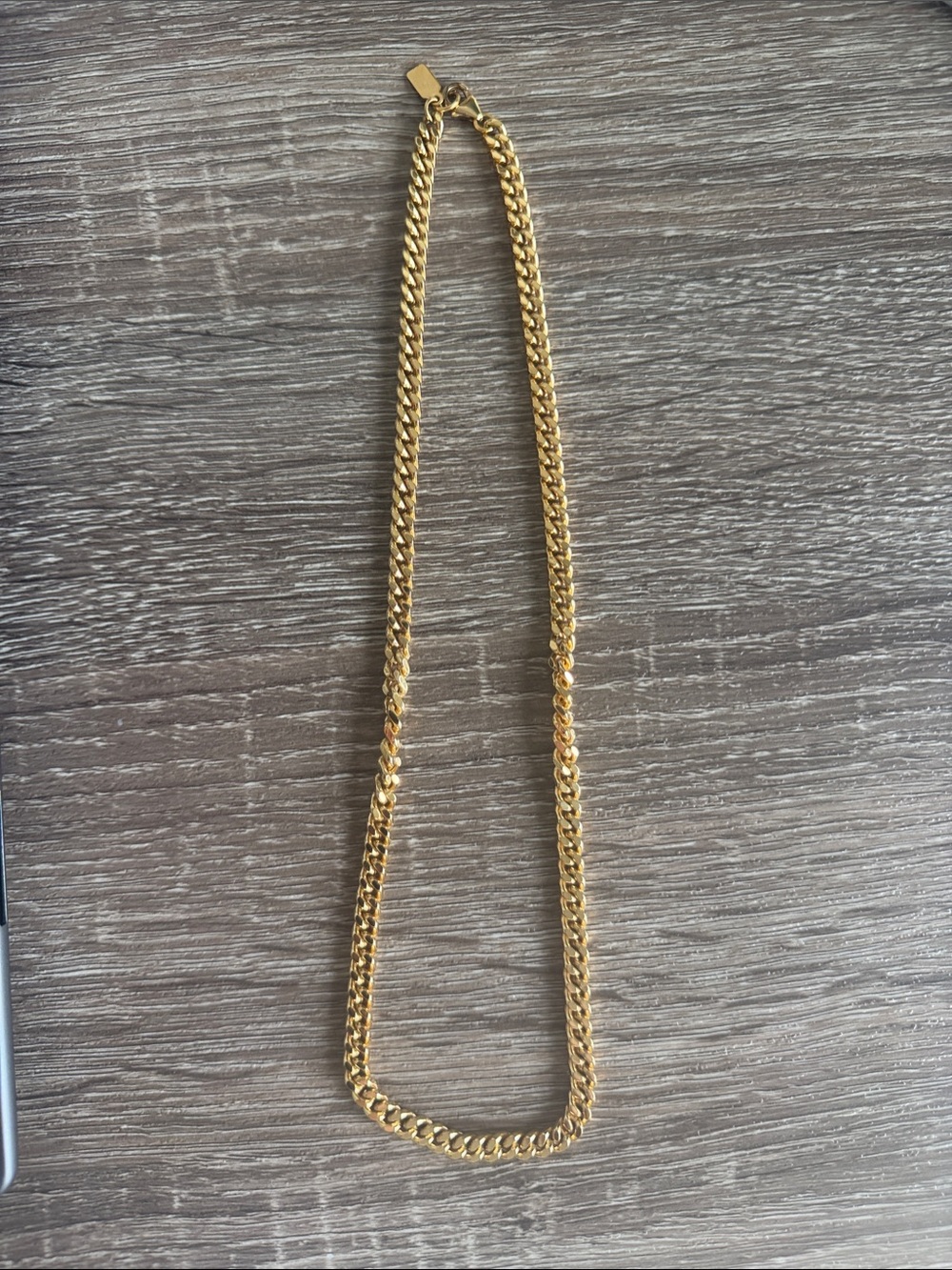 Electric Picks Leo Necklace
